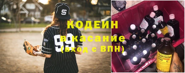 крисы Дубна